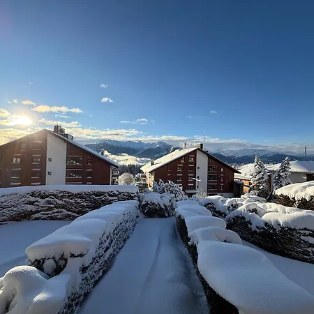 Cosy De La Moubra Διαμέρισμα