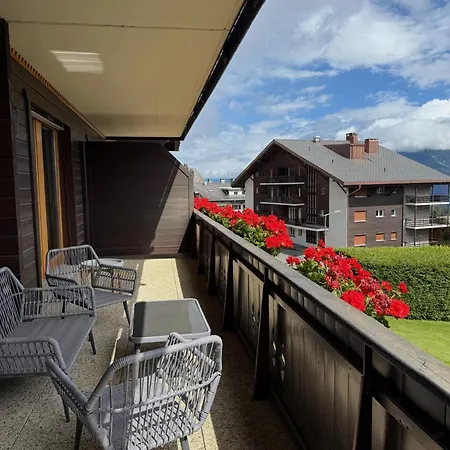 Cosy De La Moubra * 크란스몬타나