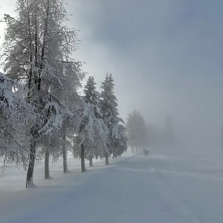 아파트 Cosy De La Moubra *