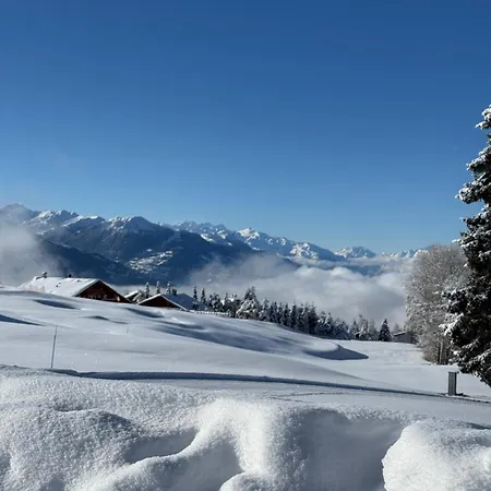 아파트 Cosy De La Moubra *