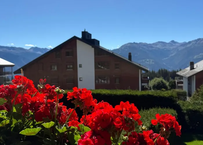 Cosy De La Moubra 아파트 *