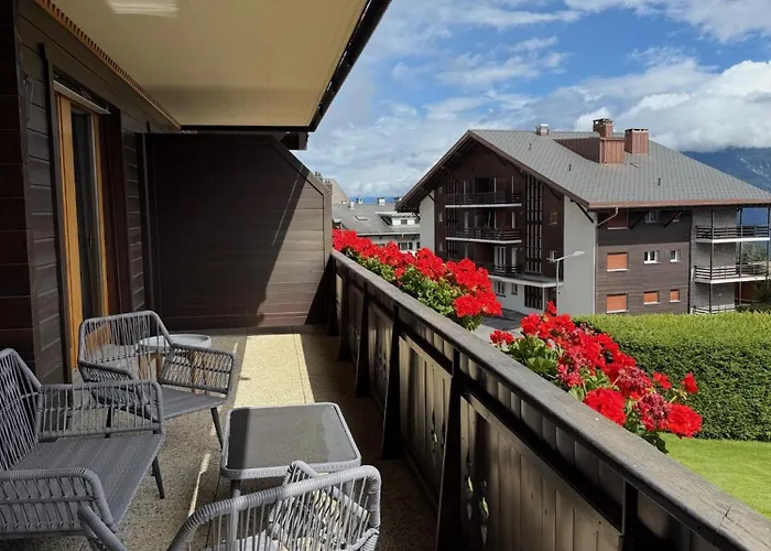 Cosy De La Moubra * 크란스몬타나