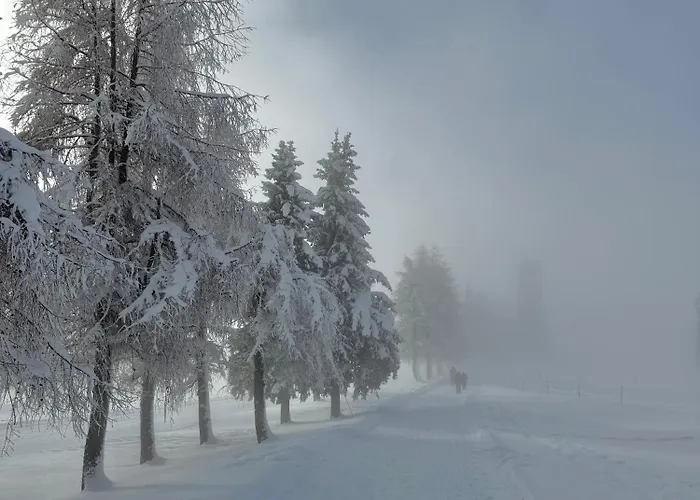 아파트 Cosy De La Moubra *