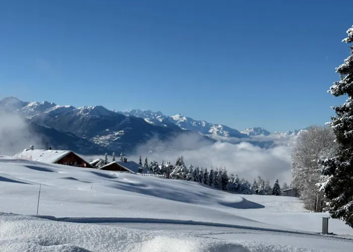 아파트 Cosy De La Moubra *